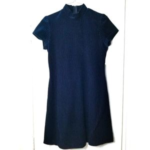 Velvet Turtleneck Dress